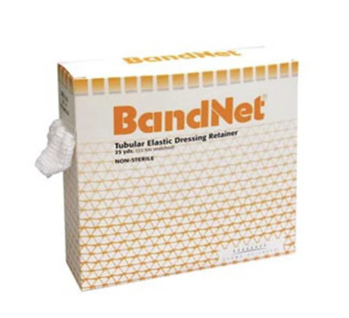 BandNet